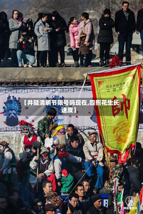 【井陉清明节限号吗现在,四照花生长速度】