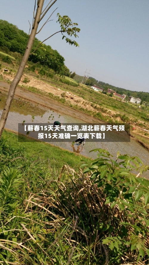 【蕲春15天天气查询,湖北蕲春天气预报15天准确一览表下载】