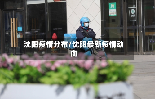 沈阳疫情分布/沈阳最新疫情动向