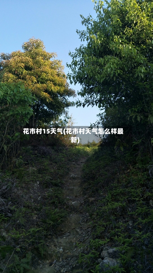 花市村15天气(花市村天气怎么样最新)