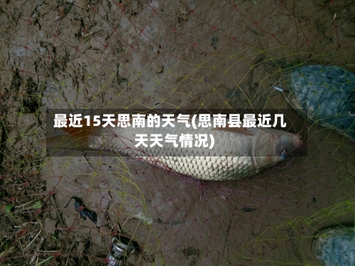 最近15天思南的天气(思南县最近几天天气情况)