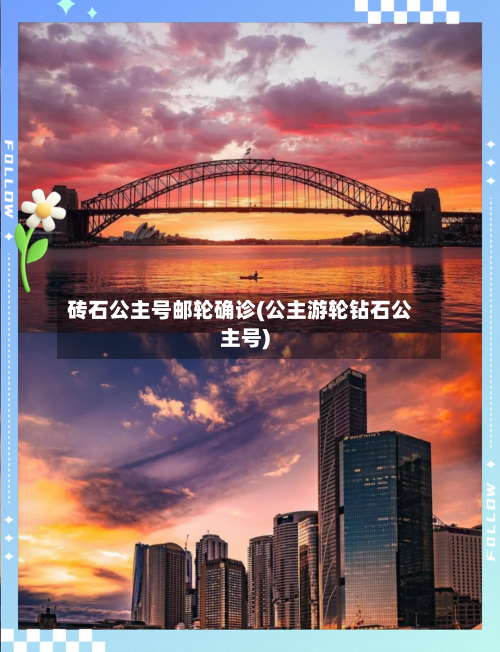 砖石公主号邮轮确诊(公主游轮钻石公主号)
