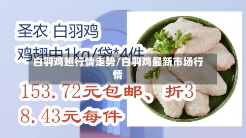 白羽鸡翅行情走势/白羽鸡最新市场行情