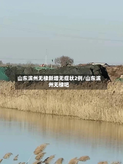 山东滨州无棣新增无症状2例/山东滨州无棣吧