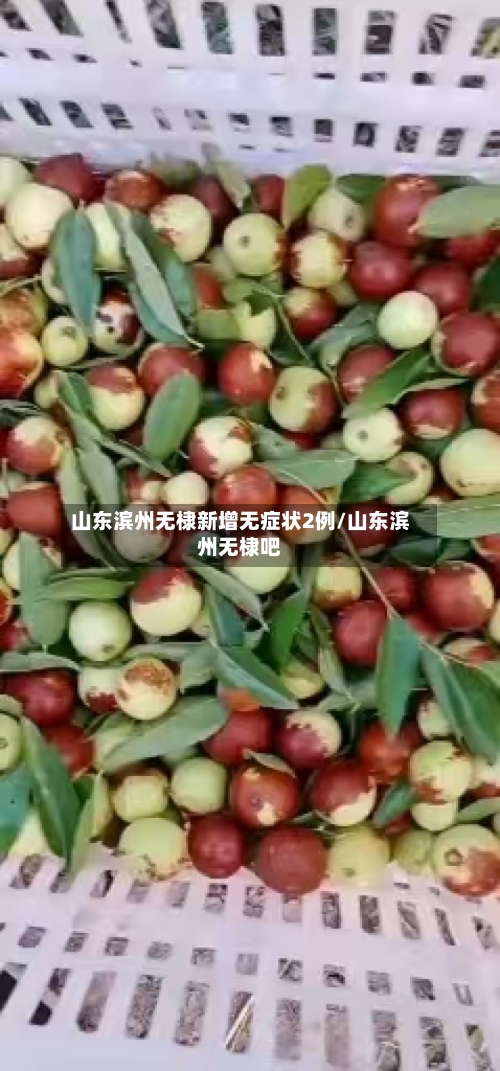 山东滨州无棣新增无症状2例/山东滨州无棣吧