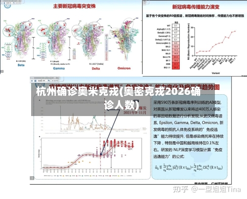 杭州确诊奥米克戎(奥密克戎2026确诊人数)