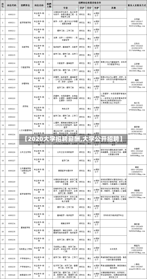【2020大学招聘薪酬,大学公开招聘】