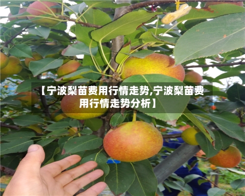 【宁波梨苗费用行情走势,宁波梨苗费用行情走势分析】
