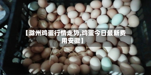 【滁州鸡蛋行情走势,鸡蛋今日最新费用安徽】