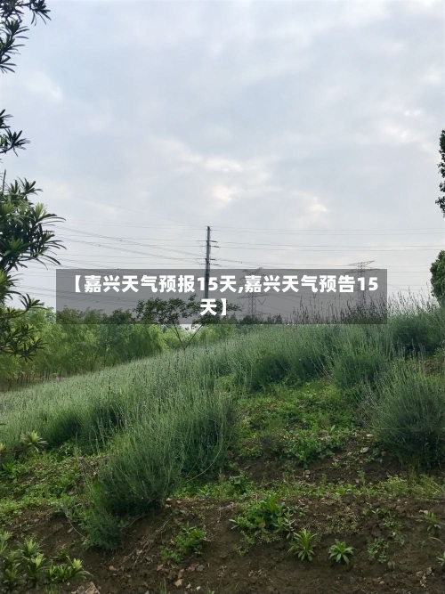 【嘉兴天气预报15天,嘉兴天气预告15天】