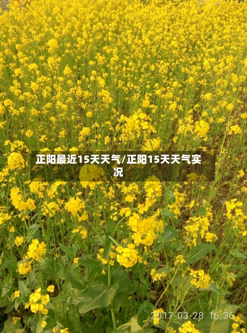 正阳最近15天天气/正阳15天天气实况