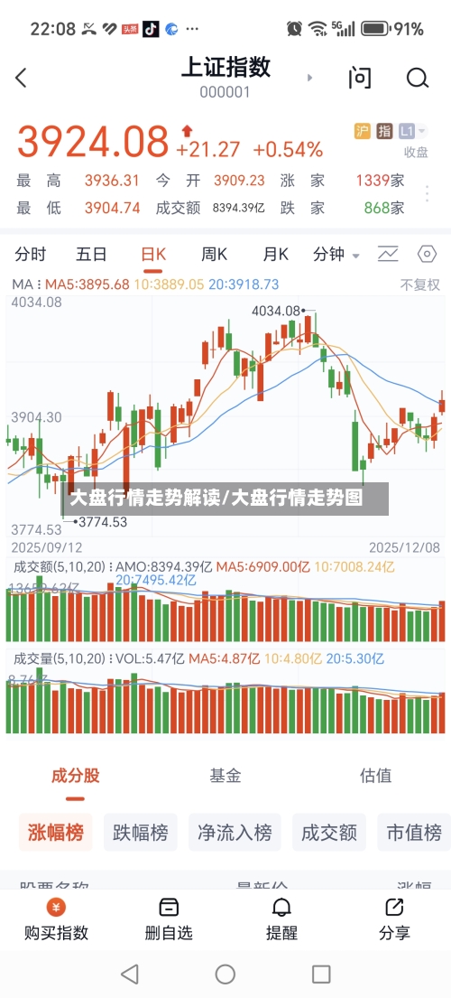 大盘行情走势解读/大盘行情走势图