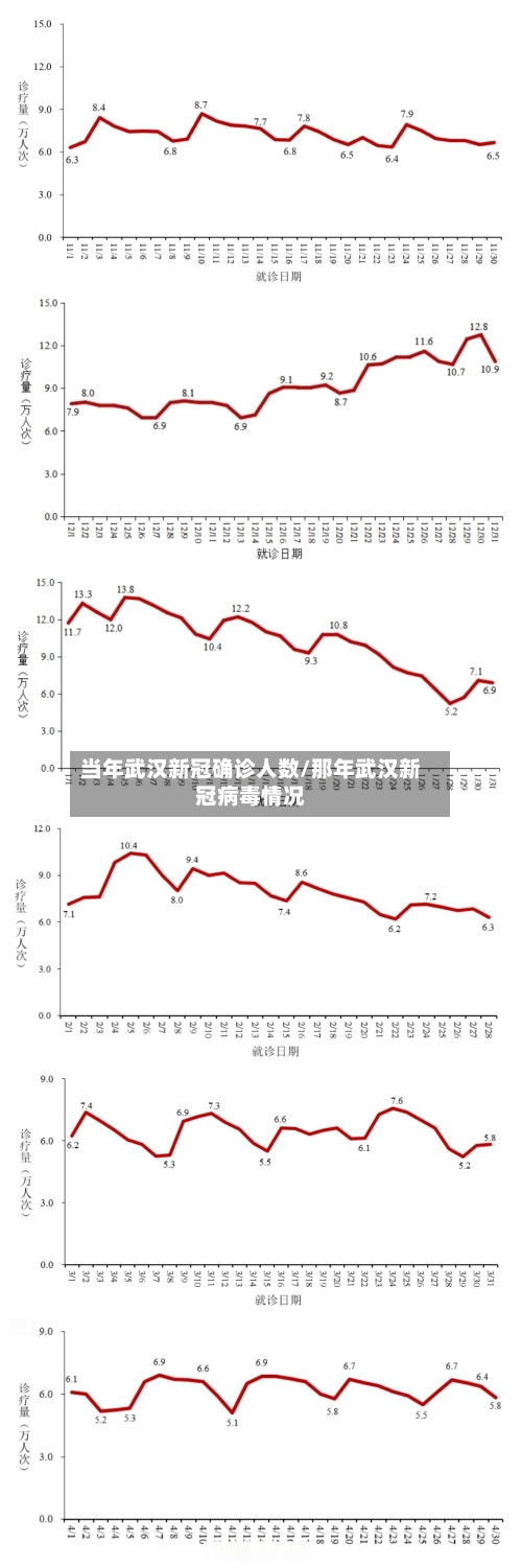 当年武汉新冠确诊人数/那年武汉新冠病毒情况