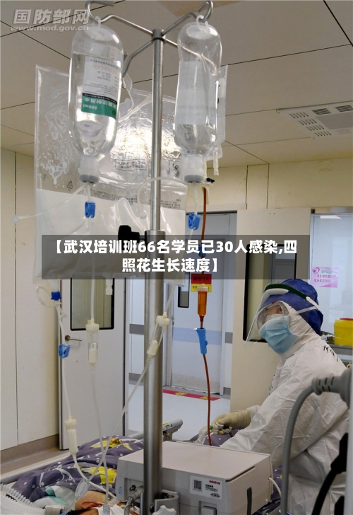 【武汉培训班66名学员已30人感染,四照花生长速度】
