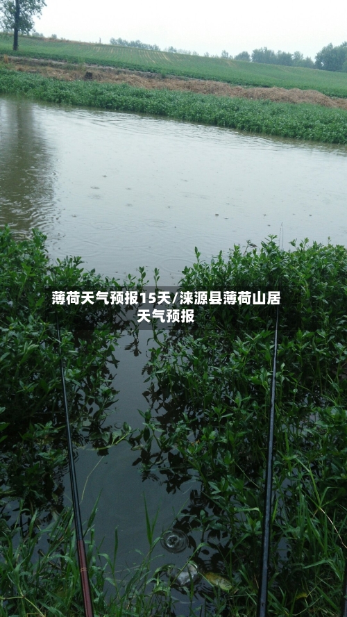 薄荷天气预报15天/涞源县薄荷山居天气预报
