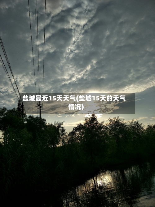 盐城最近15天天气(盐城15天的天气情况)
