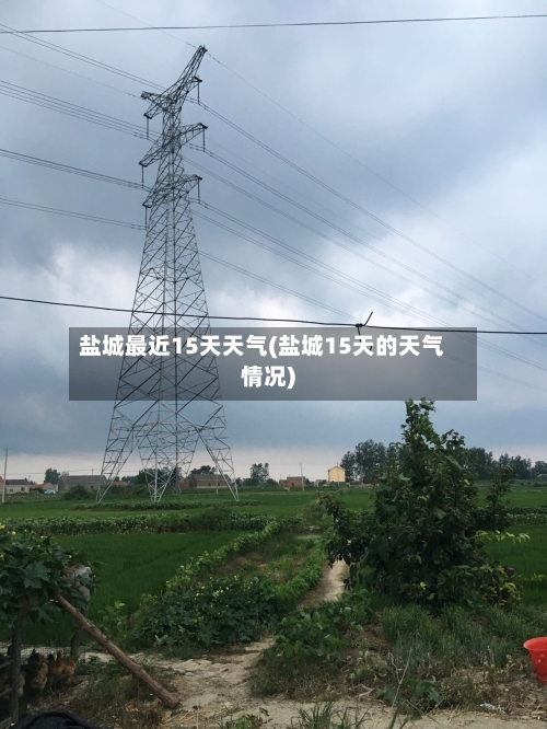 盐城最近15天天气(盐城15天的天气情况)