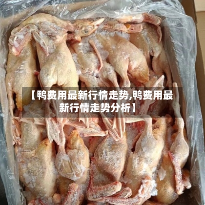 【鸭费用最新行情走势,鸭费用最新行情走势分析】
