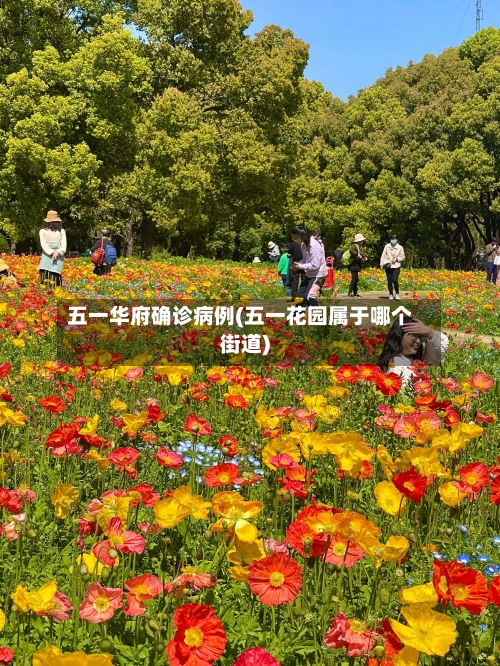 五一华府确诊病例(五一花园属于哪个街道)