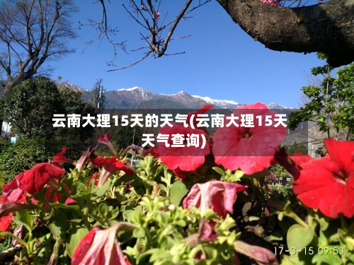 云南大理15天的天气(云南大理15天天气查询)
