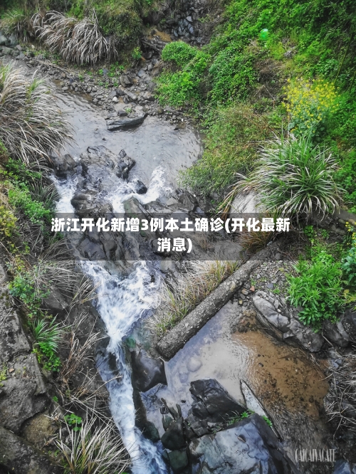 浙江开化新增3例本土确诊(开化最新消息)