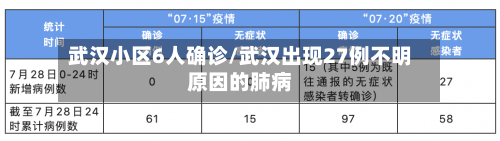 武汉小区6人确诊/武汉出现27例不明原因的肺病