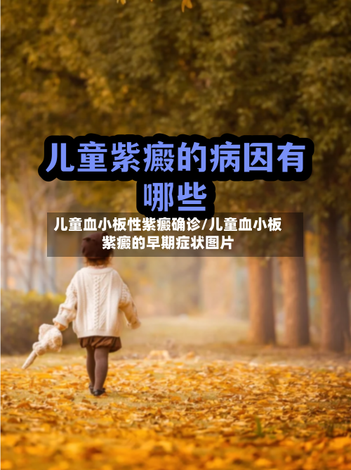 儿童血小板性紫癜确诊/儿童血小板紫癜的早期症状图片