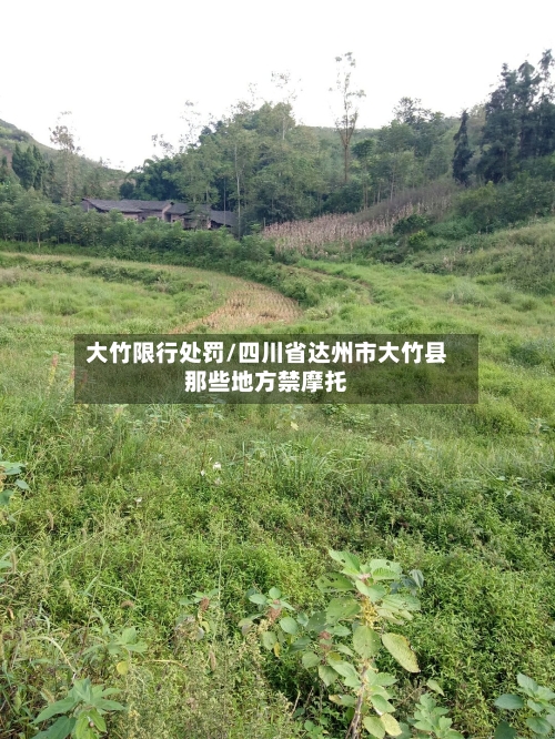 大竹限行处罚/四川省达州市大竹县那些地方禁摩托