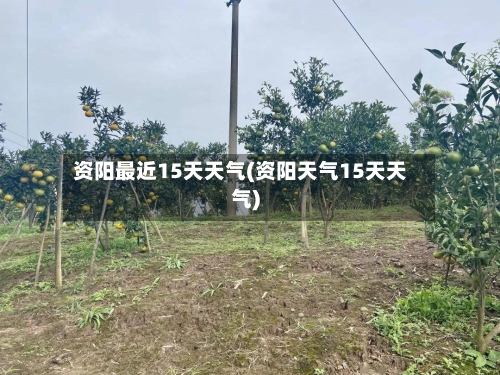 资阳最近15天天气(资阳天气15天天气)