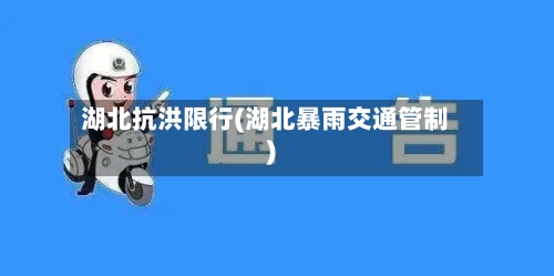 湖北抗洪限行(湖北暴雨交通管制)