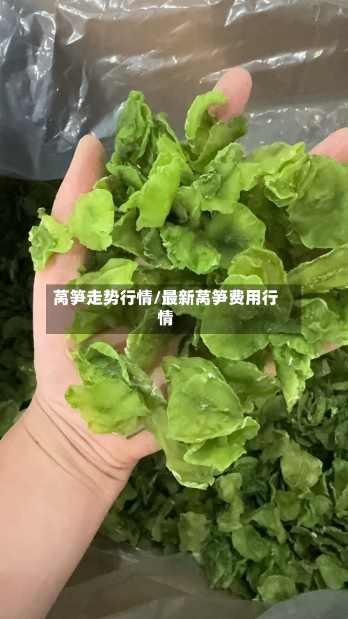 莴笋走势行情/最新莴笋费用行情