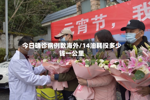今日确诊病例数海外/14油耗投多少钱一公里