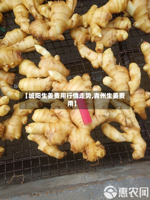 【城阳生姜费用行情走势,青州生姜费用】