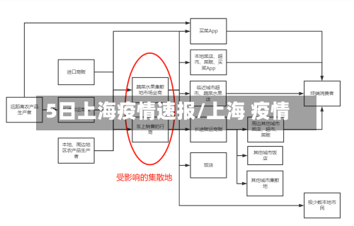 5日上海疫情速报/上海 疫情