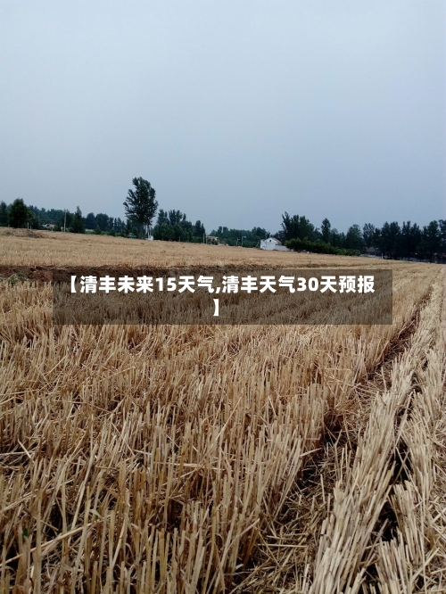 【清丰未来15天气,清丰天气30天预报】