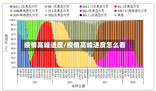 疫情高峰进度/疫情高峰进度怎么看