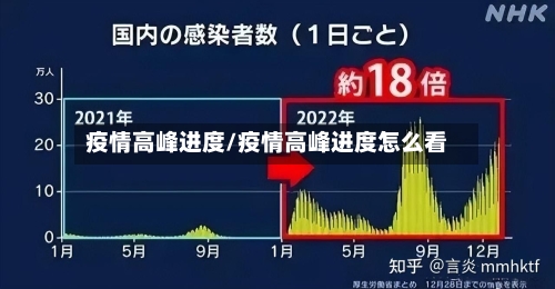 疫情高峰进度/疫情高峰进度怎么看
