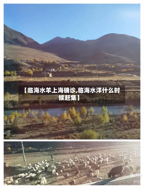 【临海水羊上海确诊,临海水洋什么时候赶集】