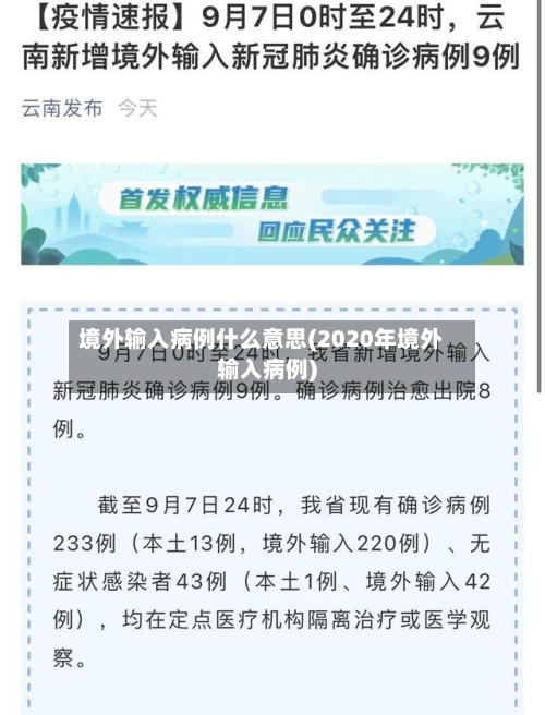 境外输入病例什么意思(2020年境外输入病例)