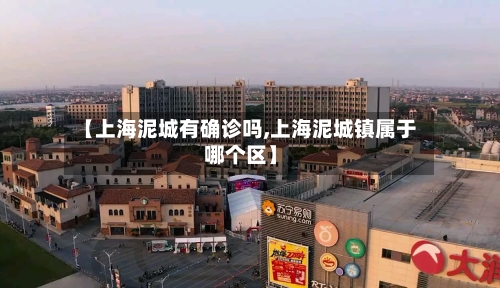【上海泥城有确诊吗,上海泥城镇属于哪个区】