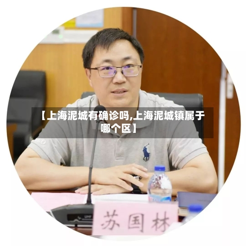 【上海泥城有确诊吗,上海泥城镇属于哪个区】