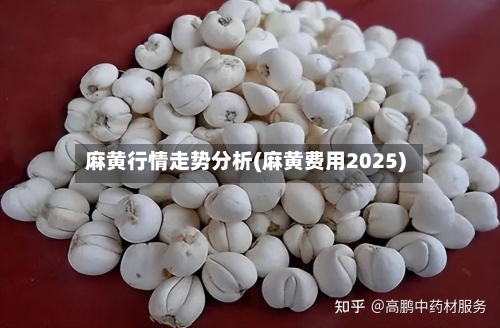麻黄行情走势分析(麻黄费用2025)