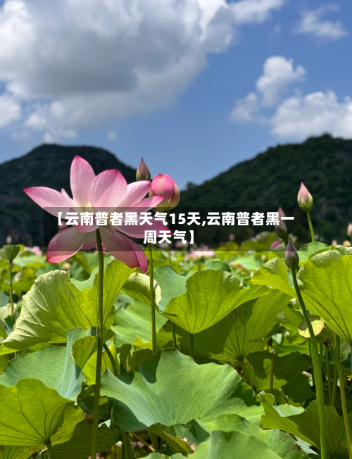 【云南普者黑天气15天,云南普者黑一周天气】