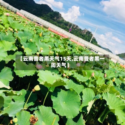 【云南普者黑天气15天,云南普者黑一周天气】