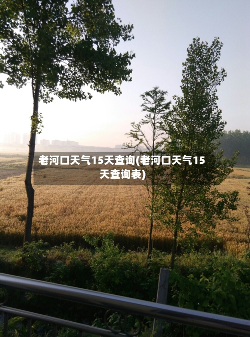 老河口天气15天查询(老河口天气15天查询表)
