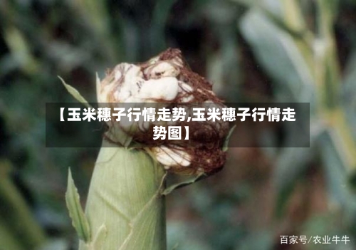 【玉米穗子行情走势,玉米穗子行情走势图】