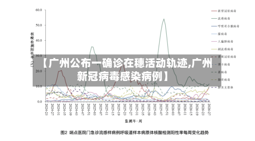 【广州公布一确诊在穗活动轨迹,广州新冠病毒感染病例】