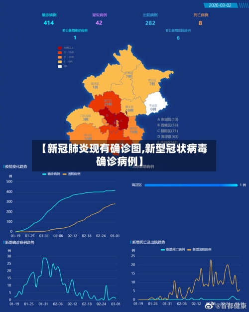 【新冠肺炎现有确诊图,新型冠状病毒确诊病例】