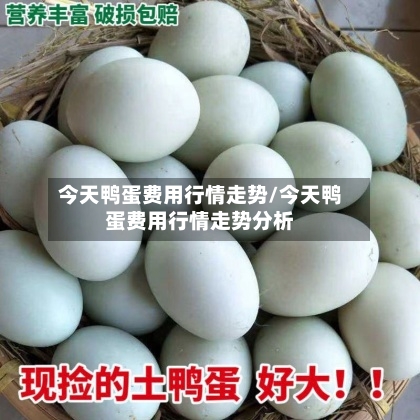 今天鸭蛋费用行情走势/今天鸭蛋费用行情走势分析