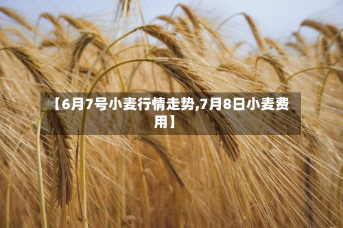 【6月7号小麦行情走势,7月8日小麦费用】
